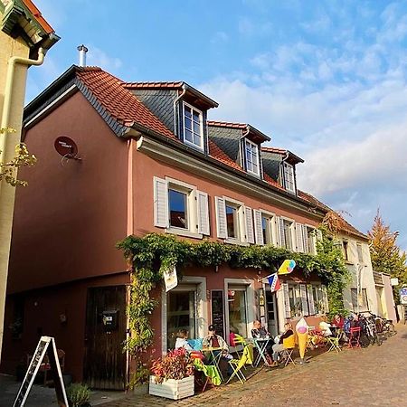 Apartament Gruene Pause Freinsheim Zewnętrze zdjęcie