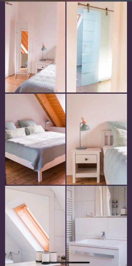 Apartament Gruene Pause Freinsheim Zewnętrze zdjęcie
